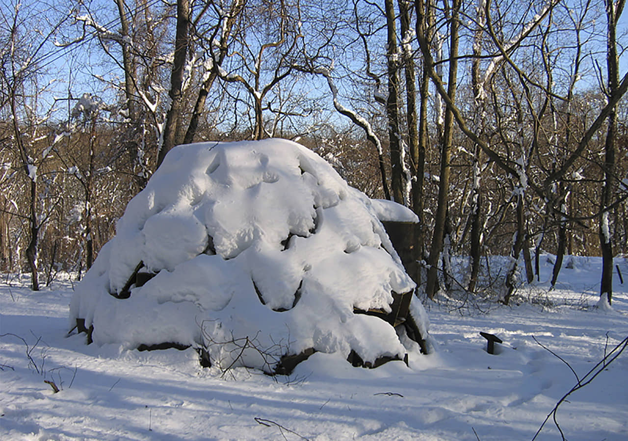 alt=Vista en invierno Gimme Shelter