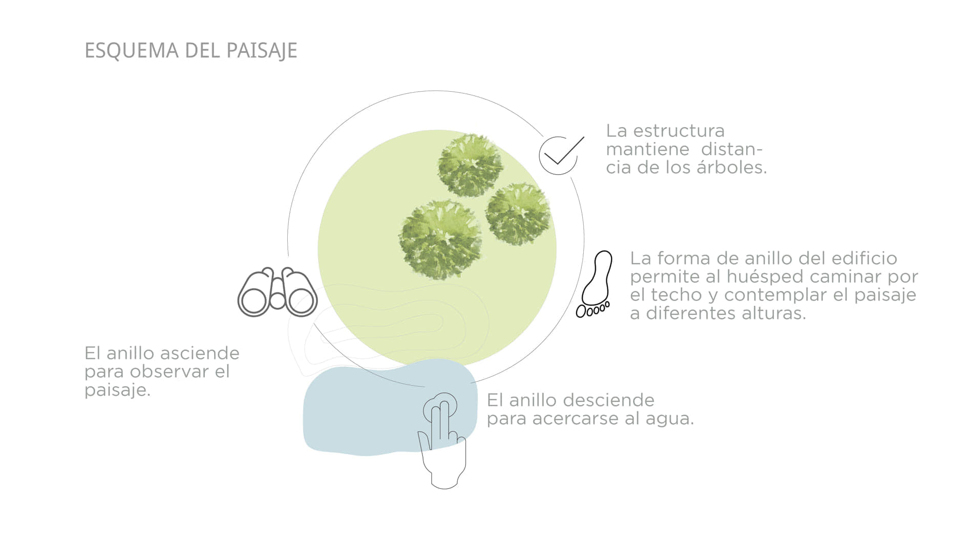 alt=esquema del paisaje del ciclo de la vida