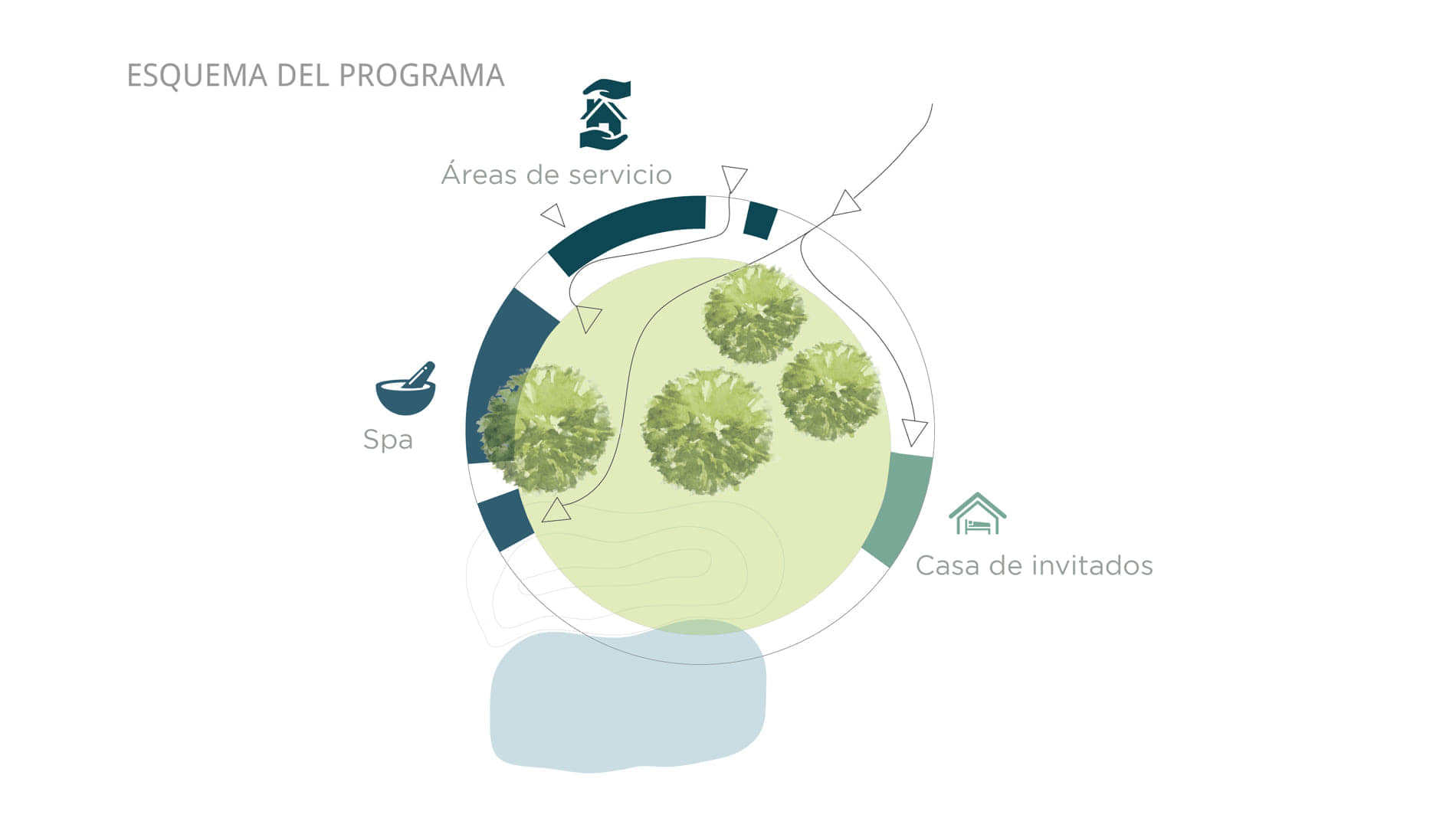 alt=esquema del programa del ciclo de la vida